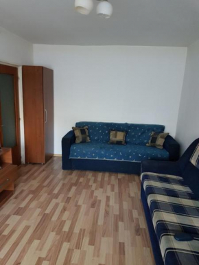 Гостиница Apartment Marian  Брашов